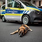 Herrmann nimmt Einsatzfahrzeuge der neuesten Generation Mercedes-Benz Vito Tourer für die Münchner Polizei in Empfang