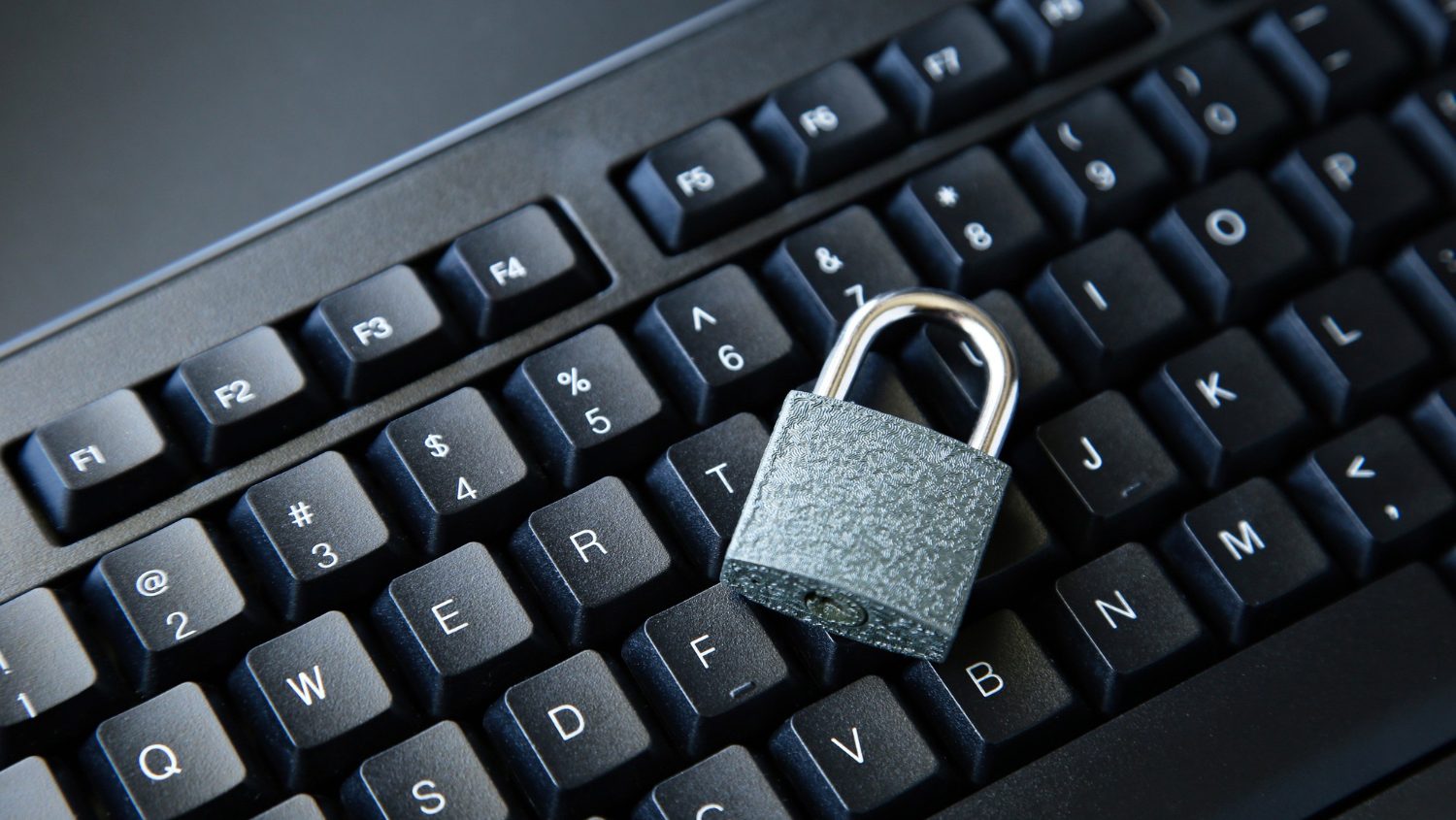 Anlässlich der 110. Datenschutzkonferenz in Berlin äußert die GdP Forderungen und Bedenken hinsichtlich der modernen Polizeiarbeit.