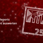 25Reports bringt Transparenz in DMARC-Daten und liefert konkrete Handlungsempfehlungen