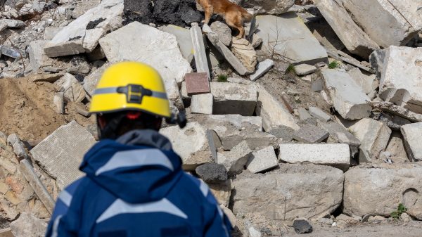 THW veranstaltet in Berlin erstes bundesweites Rettungshundetreffen.