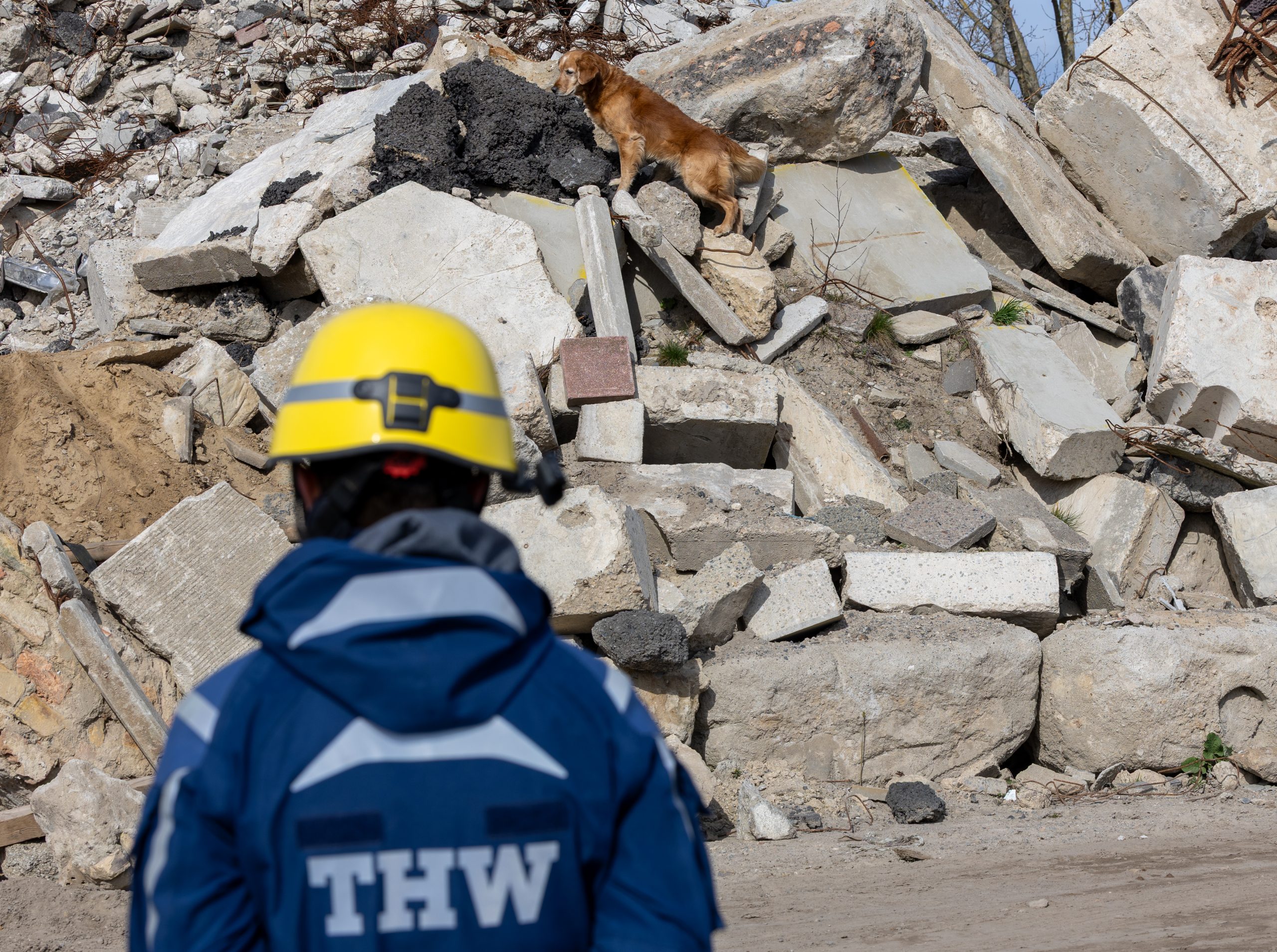 THW veranstaltet in Berlin erstes bundesweites Rettungshundetreffen.