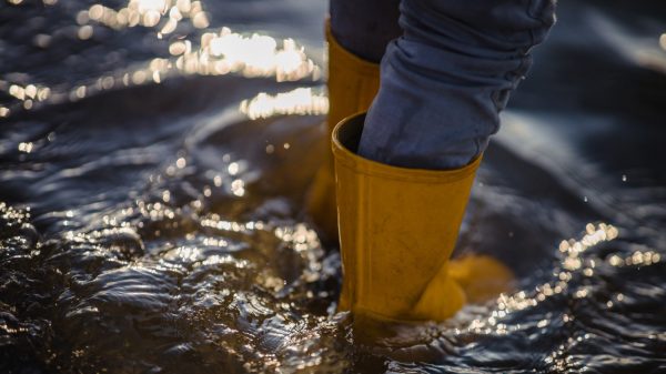 Innenminister Reinhold Jost stellt Struktur der vorgesehenen neuen Bevölkerungsschutz-Abteilung vor