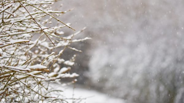 Winter Schnee Glätte Gefahren