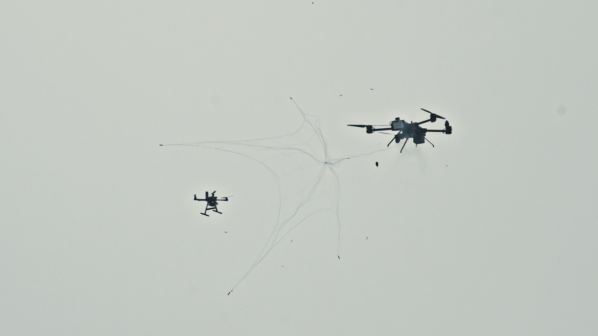 Das Netz des Falken im Einsatz.