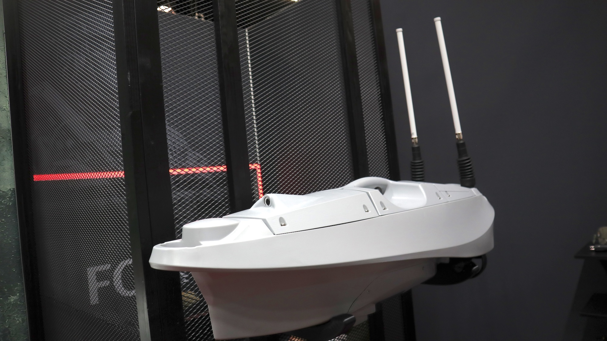 Originalgröße: Der Caiman von Kumuii.