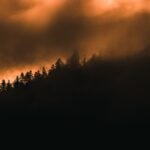 Brandenburgs Innenminister René Wilke und Forstministerin Hanka Mittelstädt informieren sich über neue Möglichkeiten zur Vorbeugung und Bekämpfung von Waldbränden