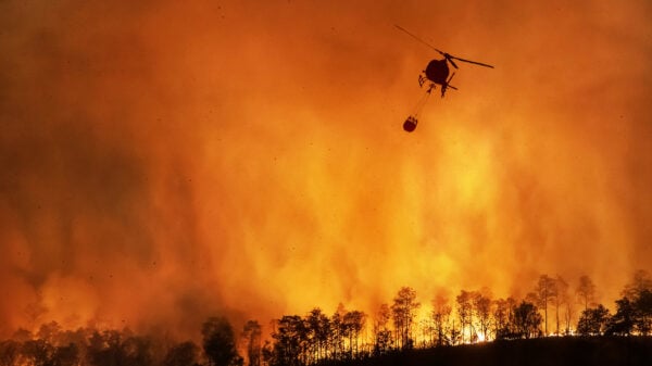 Die Waldbrandgefahr nimmt weltweit zu, vor allem in trockenen Regionen: Das von der Deutschen Bundesstiftung Umwelt (DBU) geförderte Green Startup Caurus Technologies entwickelt wassersparende Innovationen für Einsätze, um aus der Luft zu löschen.