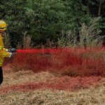 Mit MAK-1 lassen sich Riegel- und Schutzstreifen anlegen, die eine Ausbreitung des Feuers wirksam verhindern.