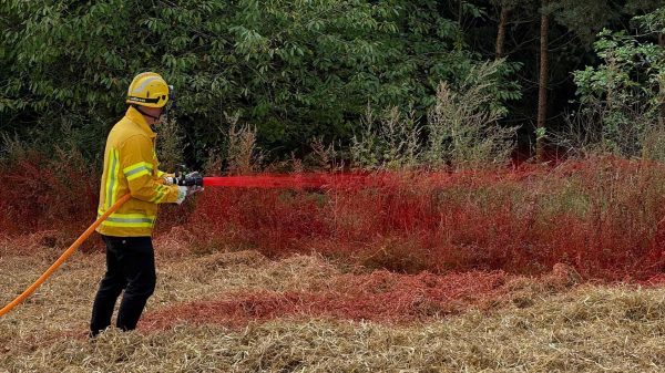 Mit MAK-1 lassen sich Riegel- und Schutzstreifen anlegen, die eine Ausbreitung des Feuers wirksam verhindern.