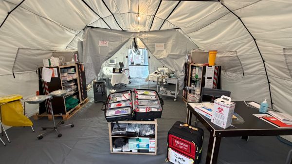 DRK: nach Ankunft der Patienten werden diese anhand ihrer Symptome in Kategorien eingeteilt. Danach startet die Behandlung.