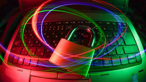 Windows seziert