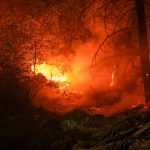 Waldbrand