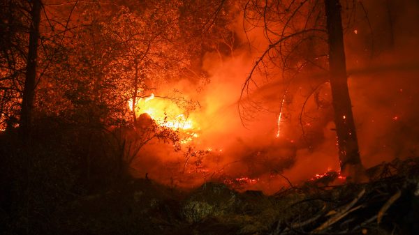 Waldbrand