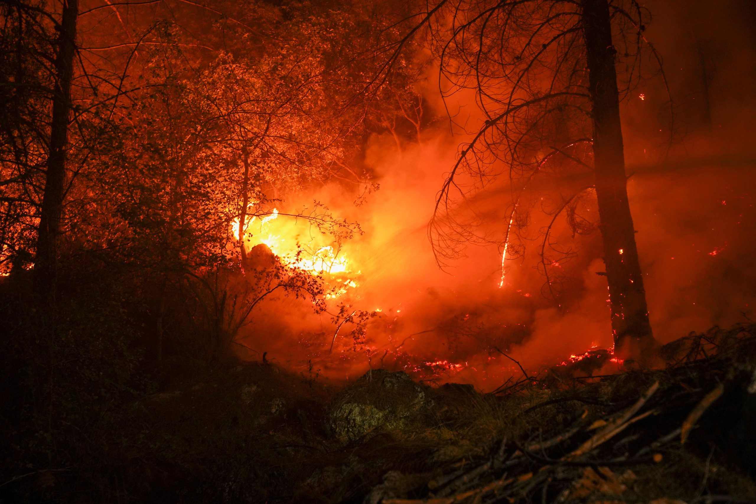 Waldbrand