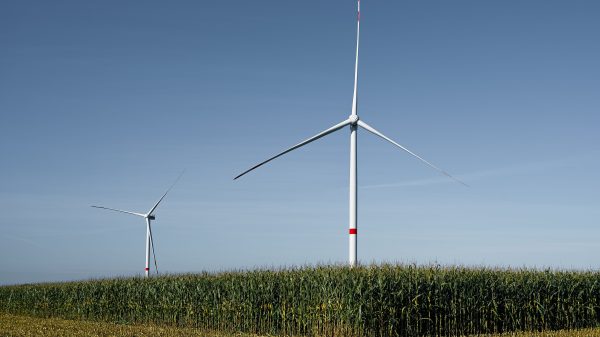 BSI: Mehrere Windenergieanlagen auf einem Feld