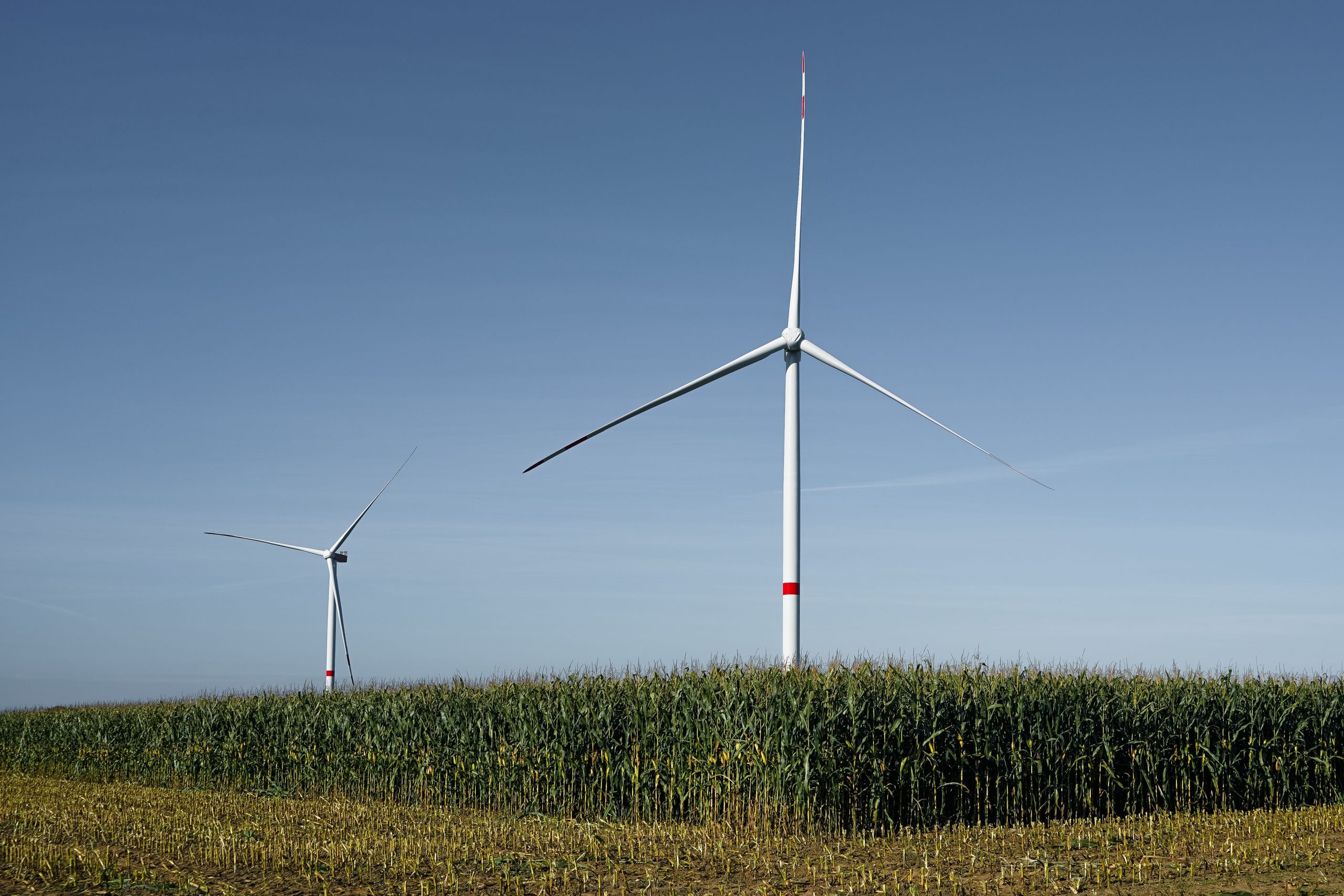 BSI: Mehrere Windenergieanlagen auf einem Feld